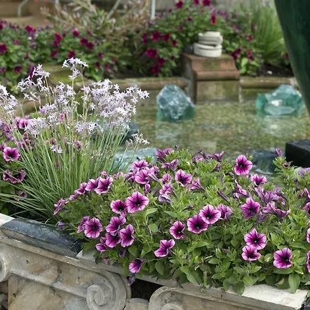 Szálloda Lawlors Naas