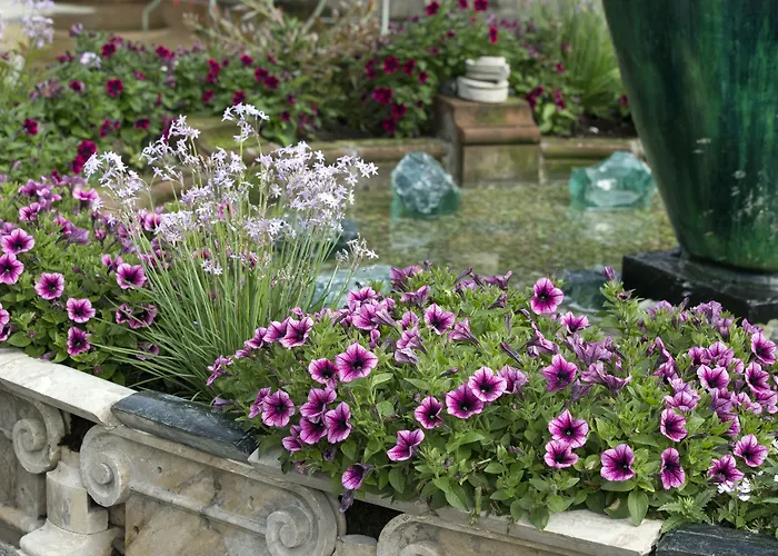 מלון Lawlors נאס